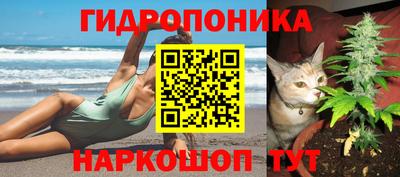 экстази Боровичи